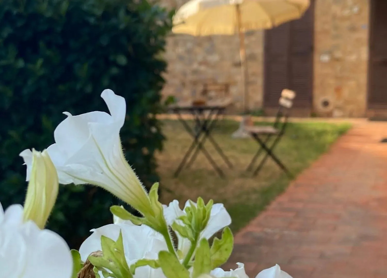 Aparthotel Casaletolfe Residence Siena